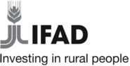 IFAD logo: wheat sheaf and IFAD text, 